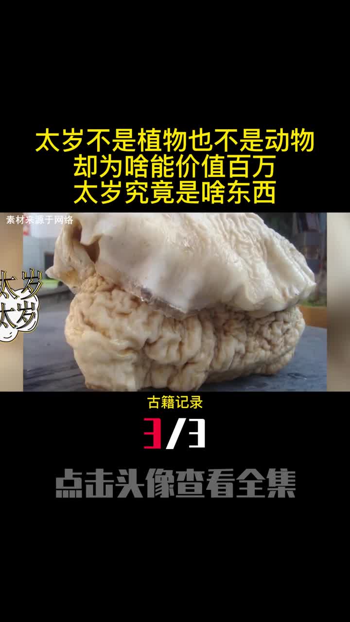 太岁不是植物也不是动物却为啥能价值百万太岁究竟是啥东西3