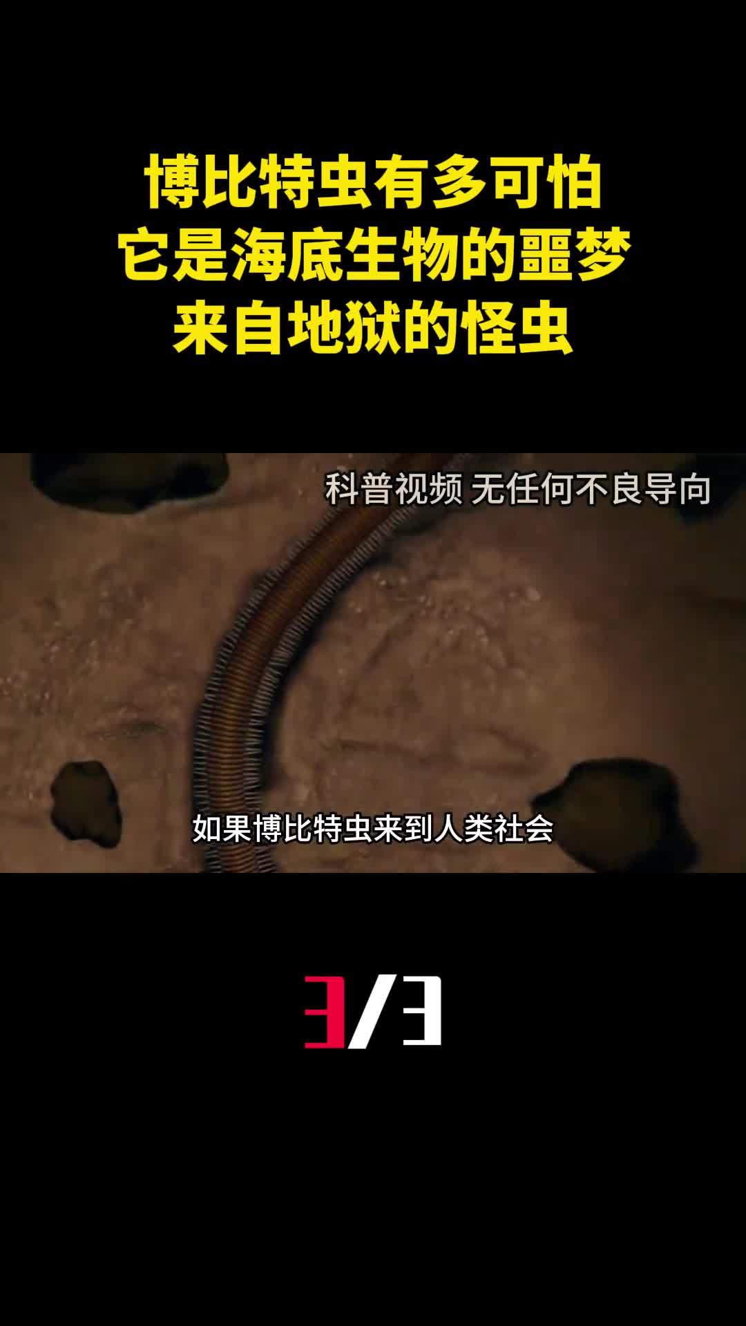 博比特虫到底有多可怕它是海底生物的噩梦来自地狱的怪虫3