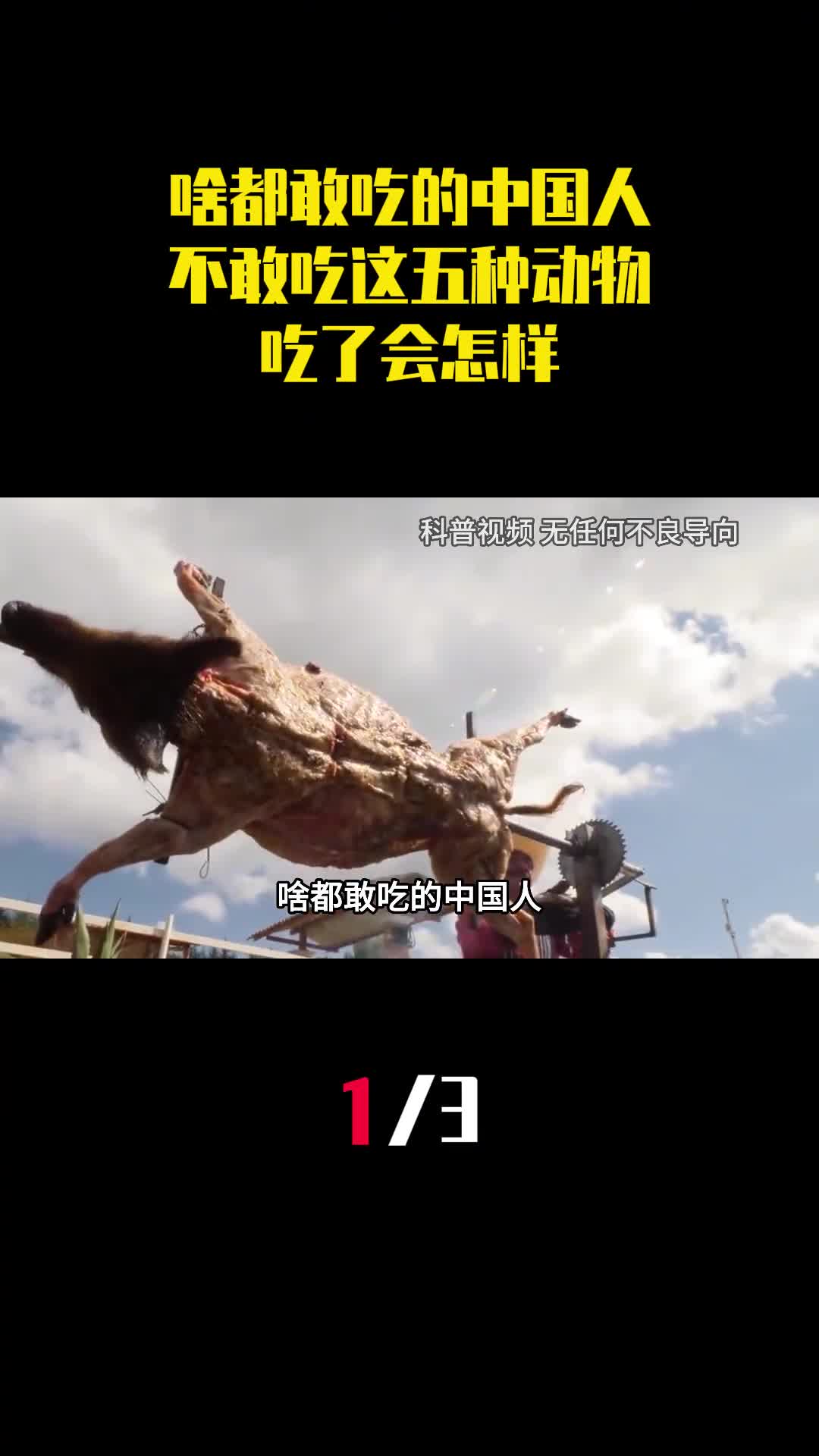 啥都敢吃的中国人为什么不敢吃这五种动物吃了会怎样1