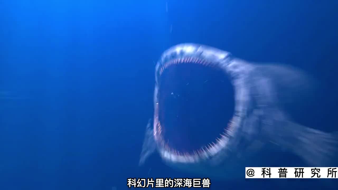 科幻片里的海怪大小排名你猜最大的是谁一