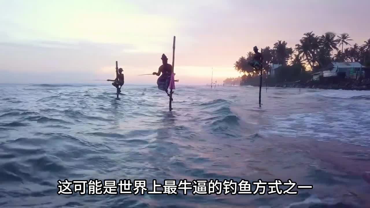 现实版的姜太公钓鱼你有见过吗