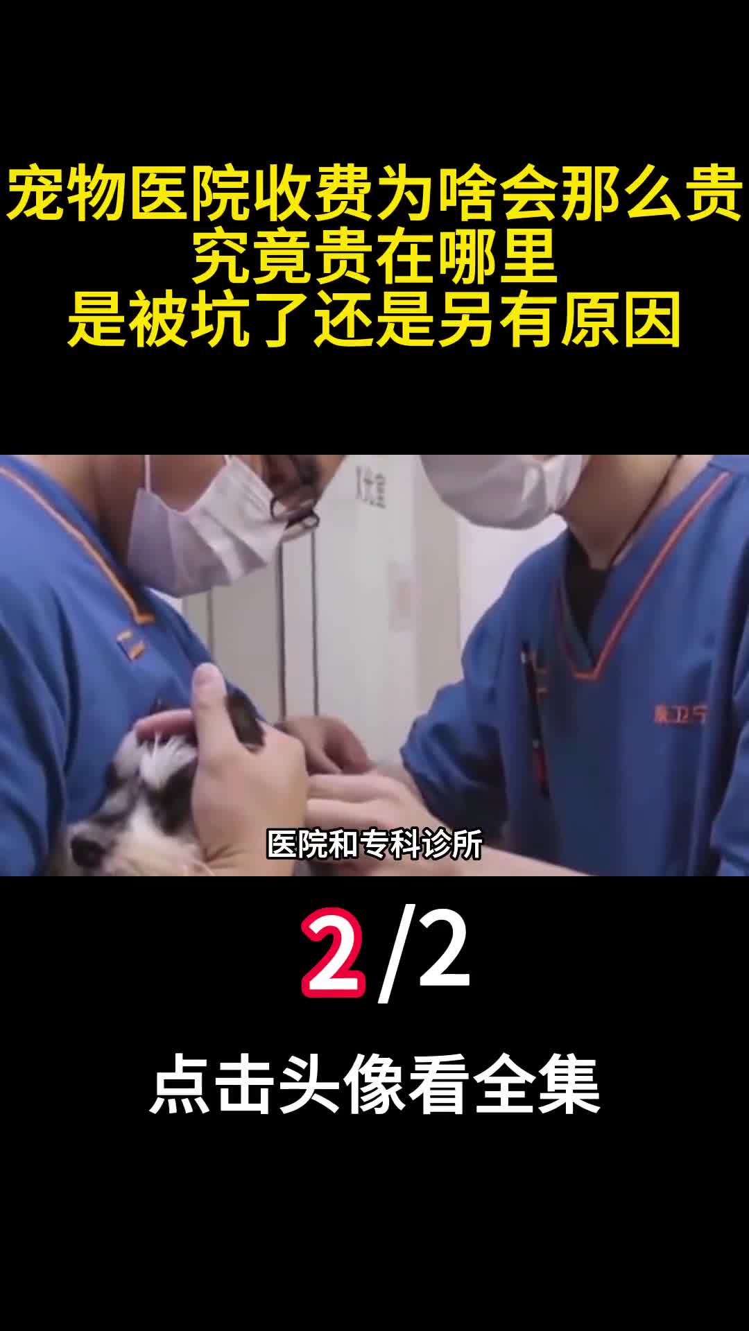 宠物医院收费为啥会那么贵究竟贵在哪里是被坑了还是另有原因2