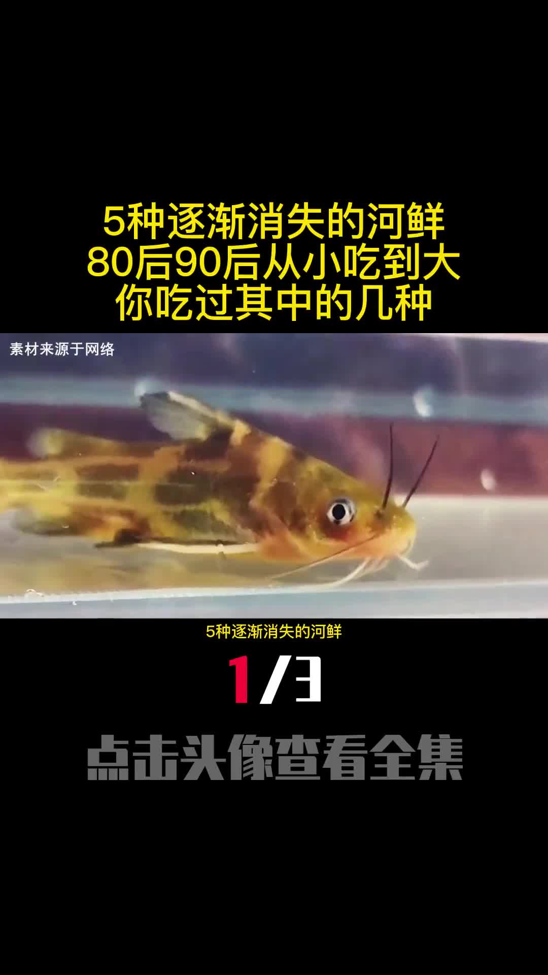 5种逐渐消失的河鲜80后90后从小吃到大你吃过其中的几种1