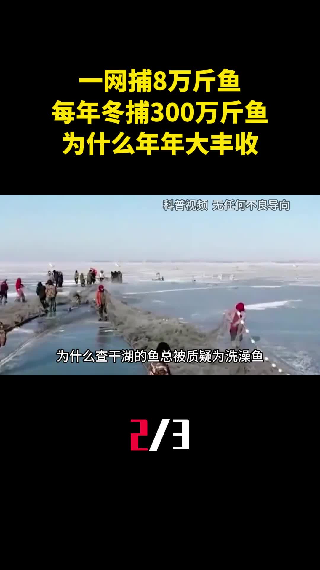 一网捕8万斤鱼查干湖每年冬捕300万斤鱼为什么年年大丰收2