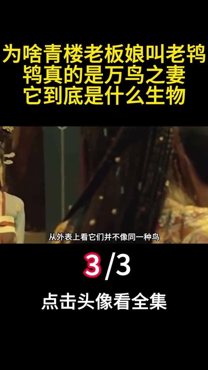 为啥青楼老板娘叫老鸨鸨真的是万鸟之妻它到底是什么生物三