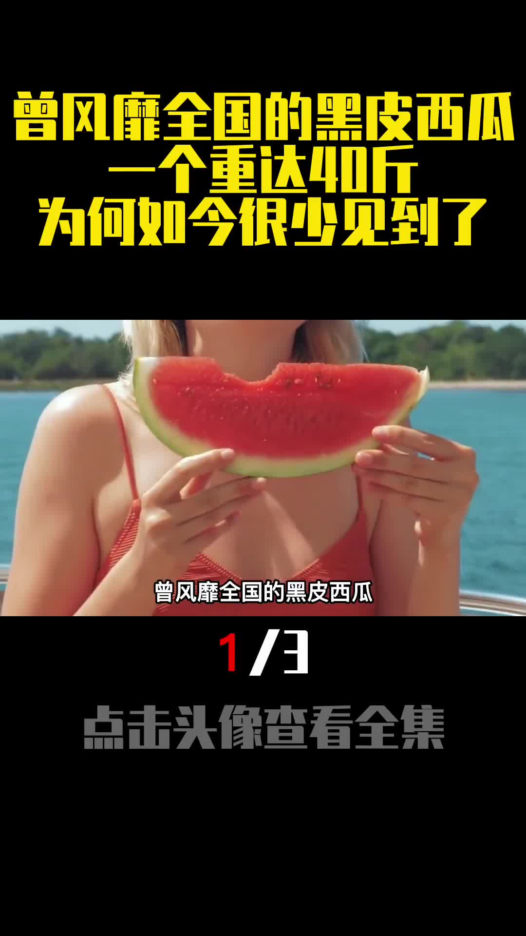 曾风靡全国的黑皮西瓜一个重达40斤为何如今很少见到了1