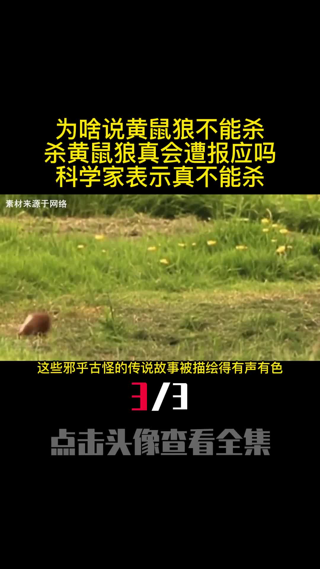 为啥说黄鼠狼不能杀杀黄鼠狼真会遭报应吗科学家表示真不能杀3