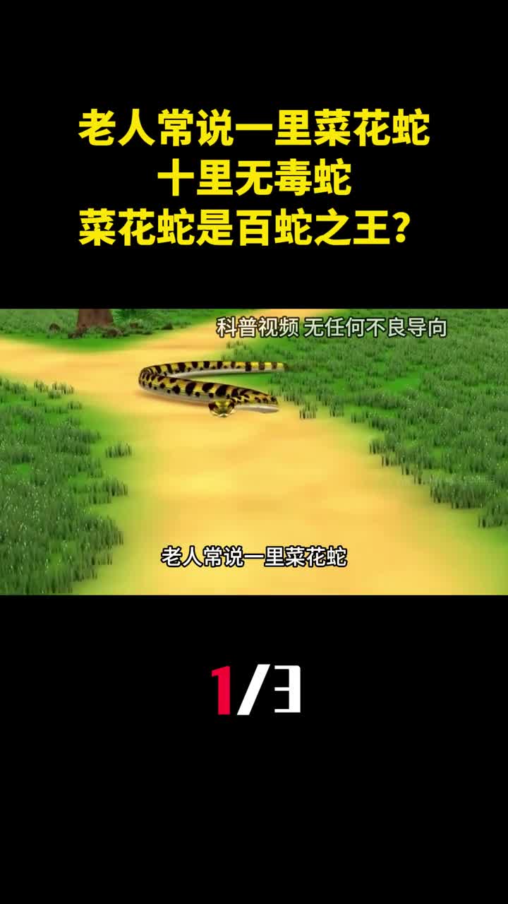 老人常说一里菜花蛇十里无毒蛇菜花蛇为什么是百蛇之王1