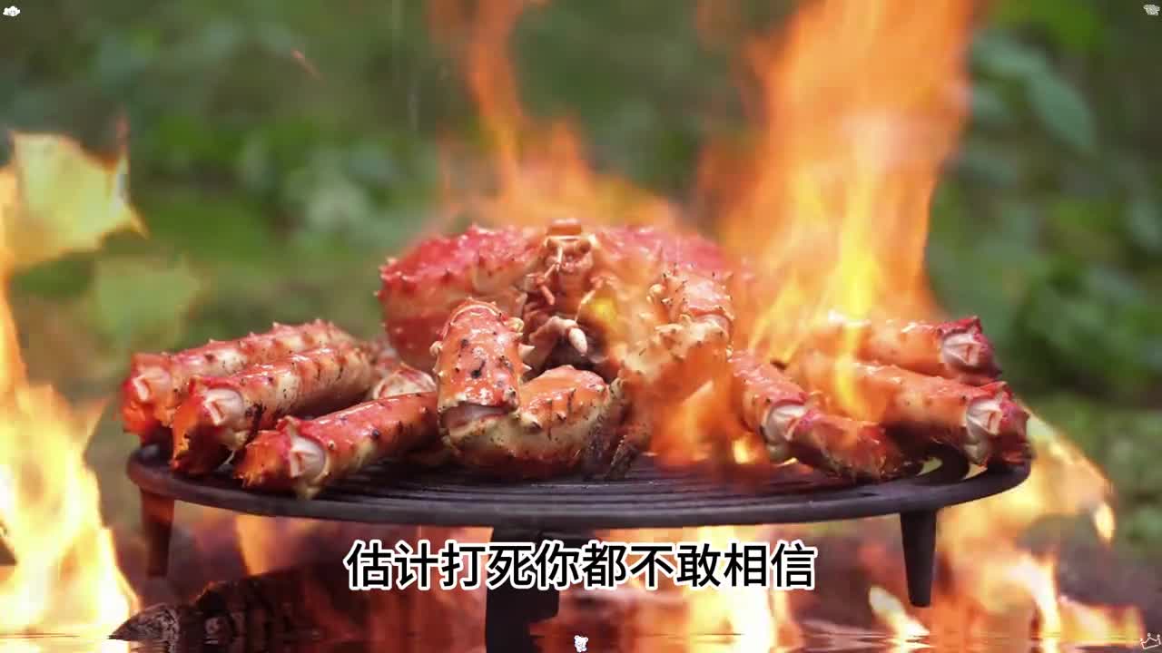 帝王蟹摧残了美丽的海洋富有当但的吃货们挺身而出