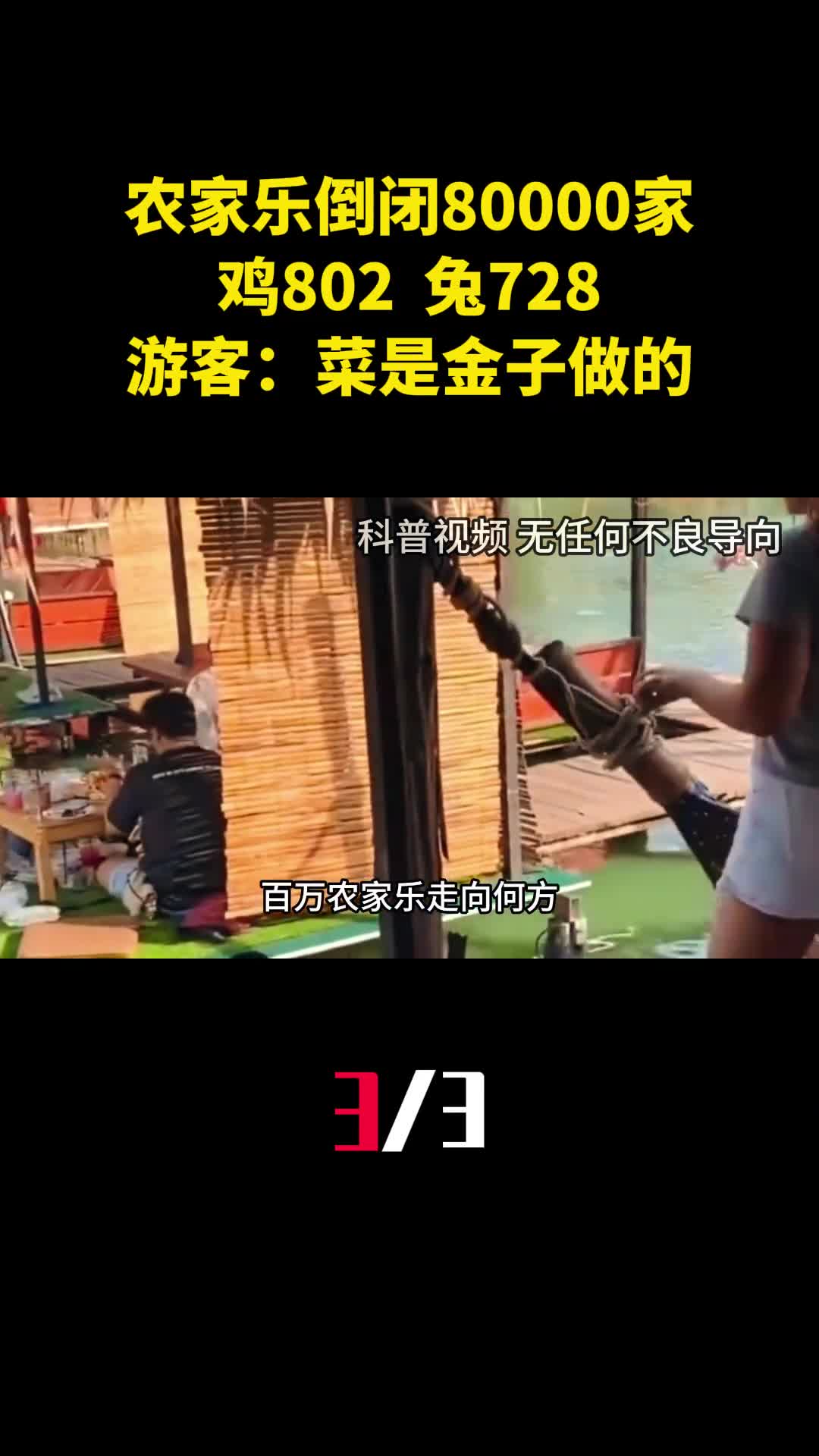 农家乐倒闭80000家一只鸡802一头兔728游客菜是金子做的3