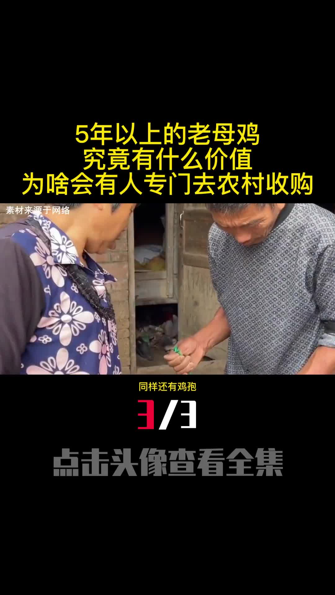 5年以上的老母鸡究竟有什么价值为啥会有人专门去农村收购3