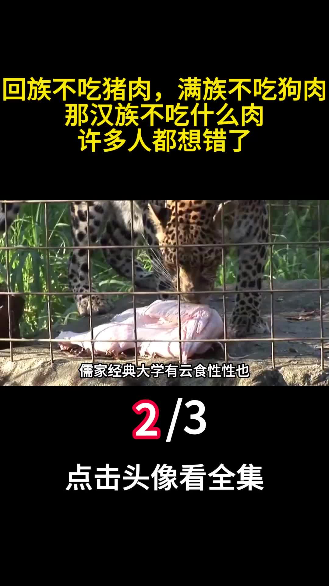 回族不吃猪肉满族不吃狗肉那汉族不吃什么肉许多人都想错了2