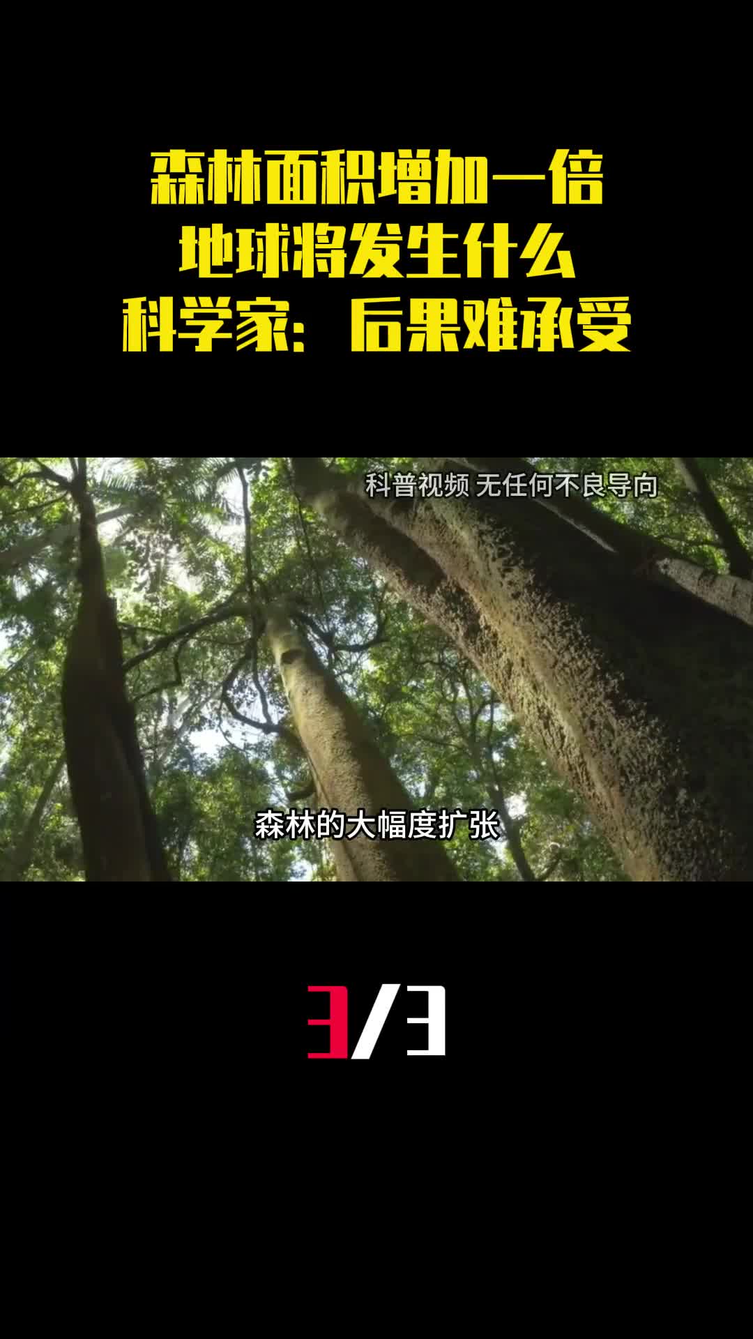 森林面积增加一倍地球将发生什么科学家后果将难以承受3