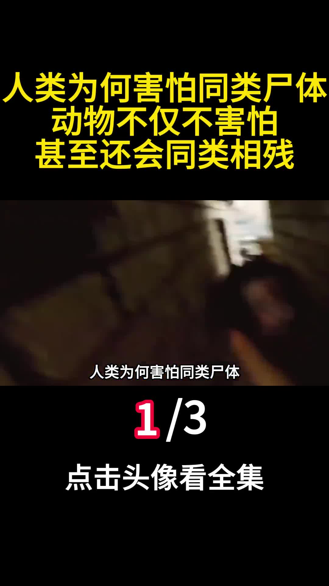 人类为何害怕同类尸体动物不仅不害怕甚至还会同类相残1