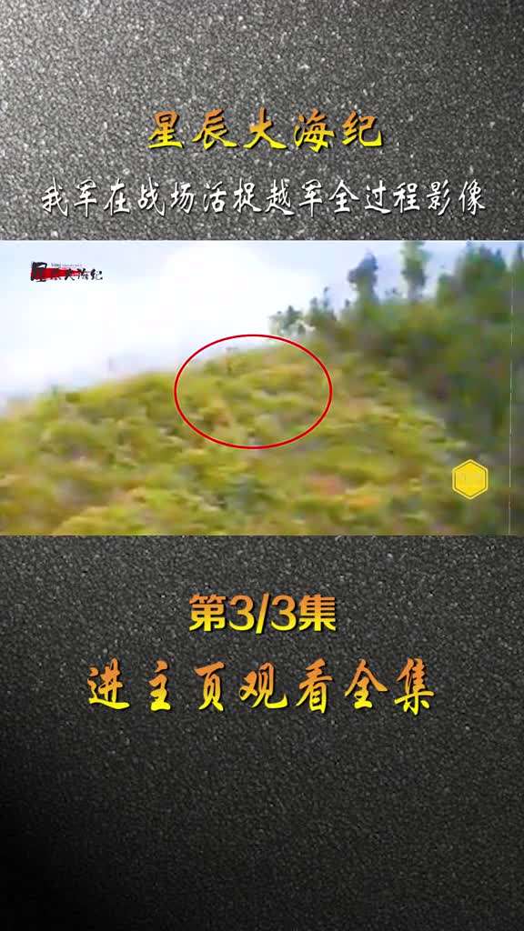 我军活捉越军全过程影像致敬英雄