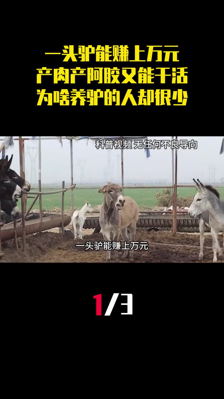 一头驴能赚上万元又能干活为啥养驴的人却很少1