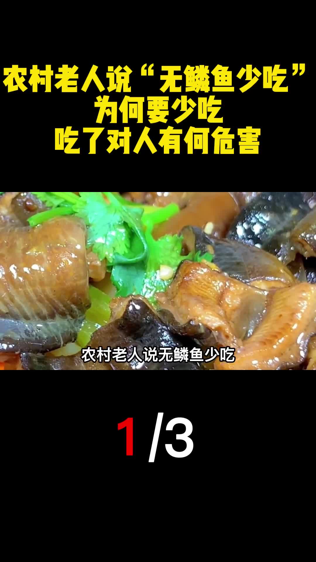 农村老人说无鳞鱼少吃为何要少吃吃了对人有何危害1