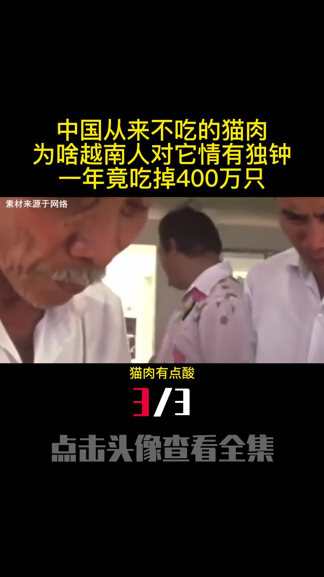 中国从来不吃的猫肉为啥越南人对它情有独钟一年竟吃掉400万只3