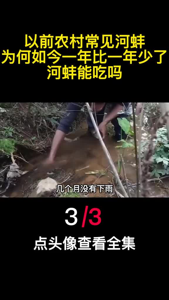 以前农村常见河蚌为何如今一年比一年少了河蚌能吃吗3