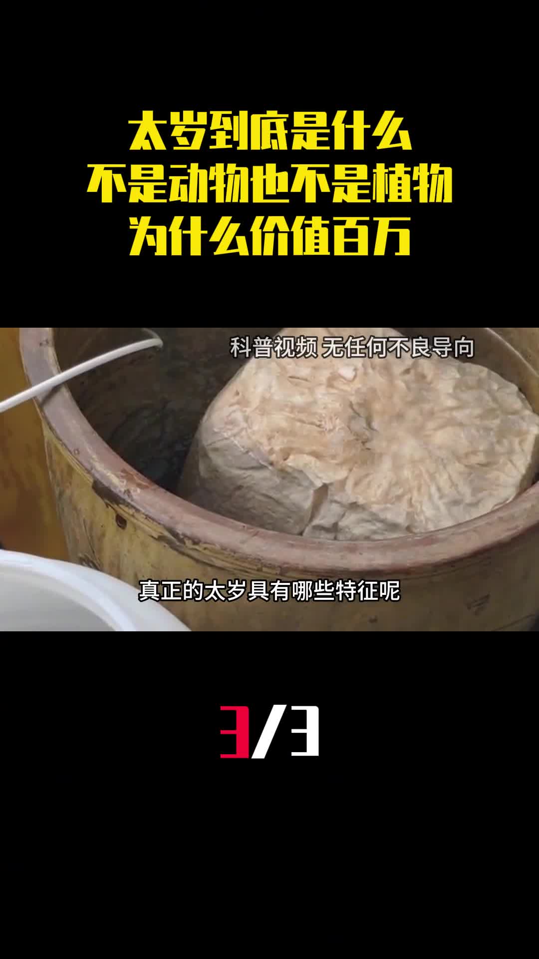太岁到底是什么不是动物也不是植物为什么价值百万3