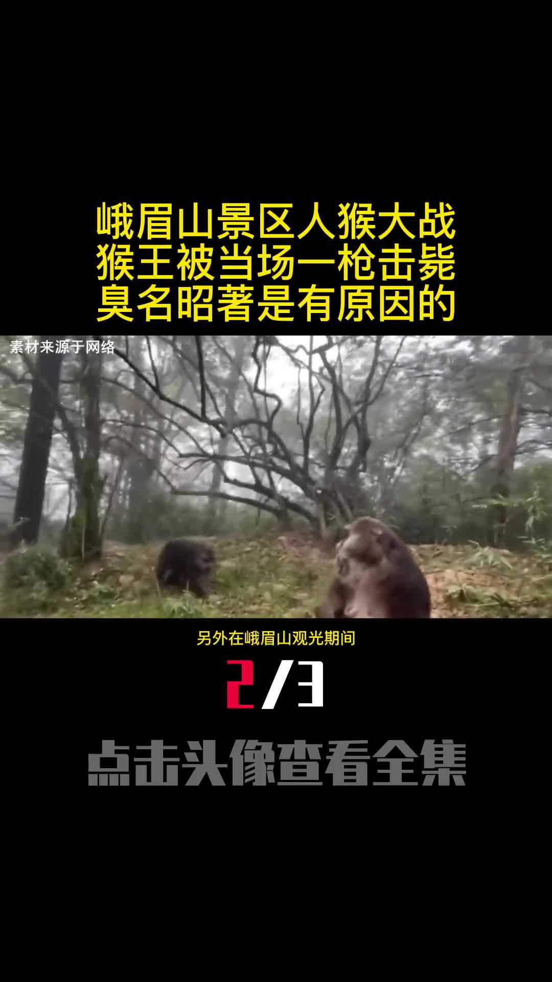 峨眉山景区人猴大战猴王被当场一枪击毙臭名昭著是有原因的2