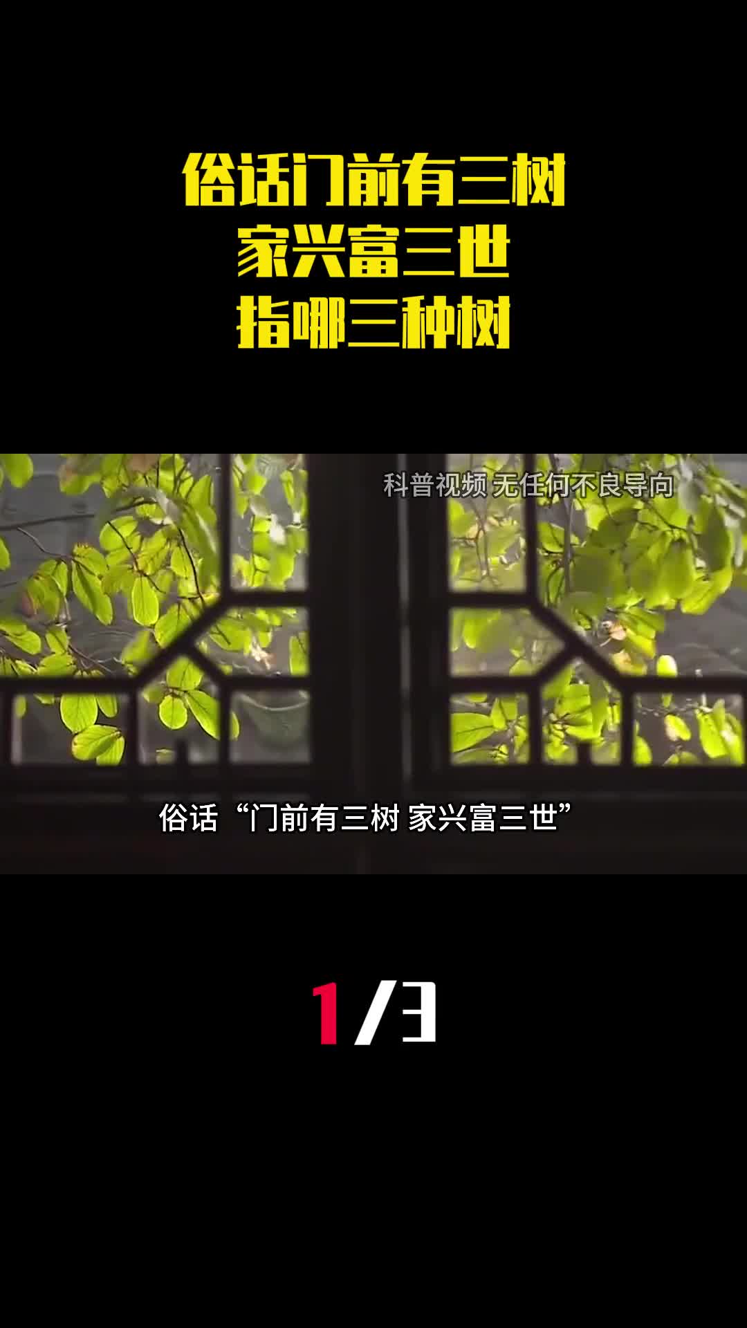 俗话门前有三树家兴富三世指哪三种树你家种有吗1