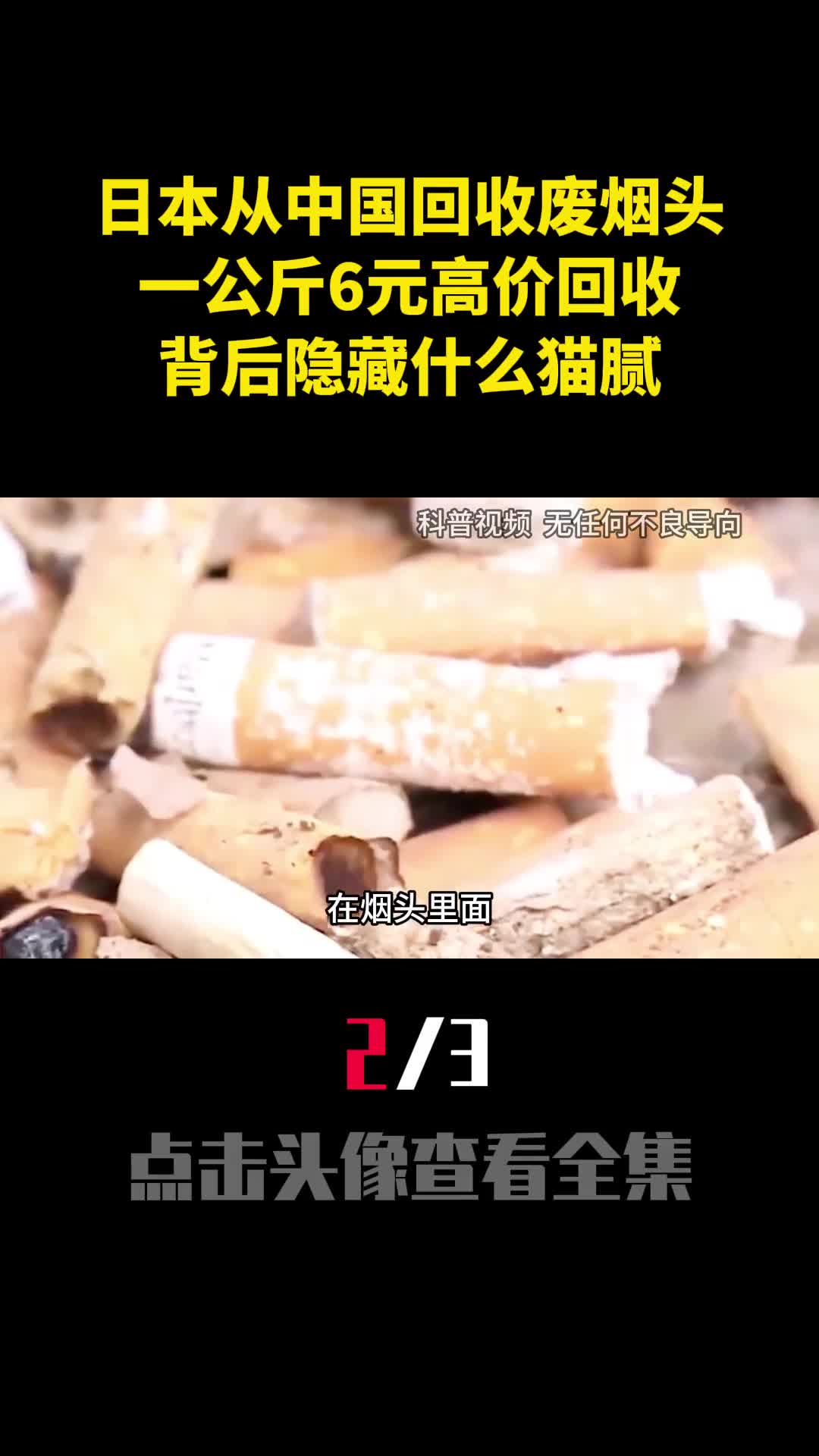日本从中国回收废烟头一公斤6元高价回收背后隐藏什么猫腻2