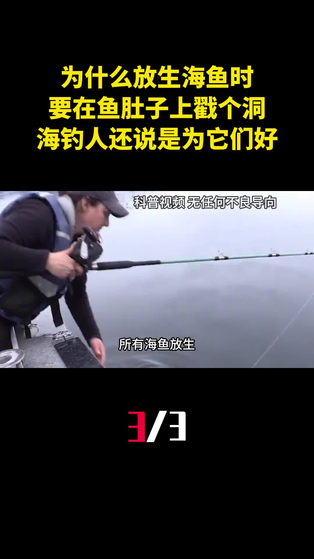 为什么放生海鱼时要在鱼肚子上戳个洞海钓人还说是为它们好3