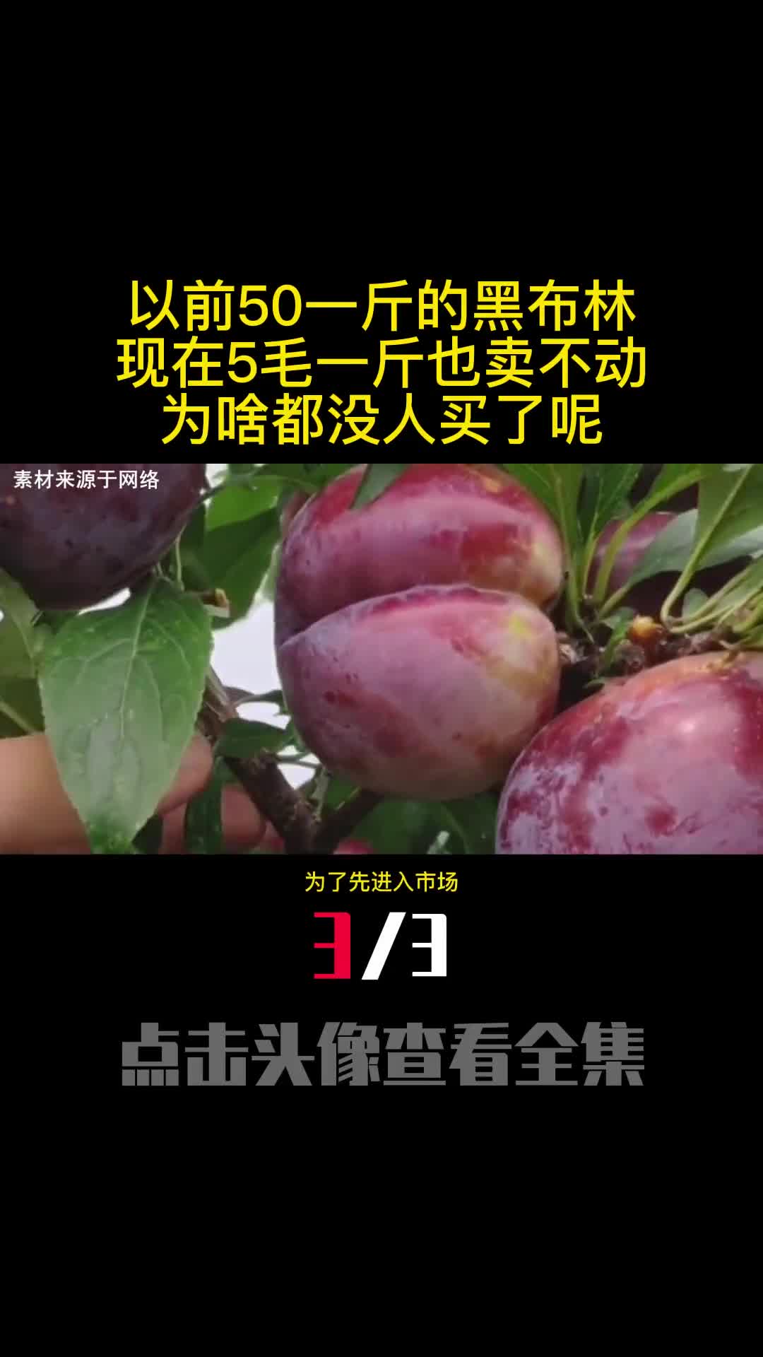 以前50一斤的黑布林现在5毛一斤也卖不动为啥都没人买了呢3