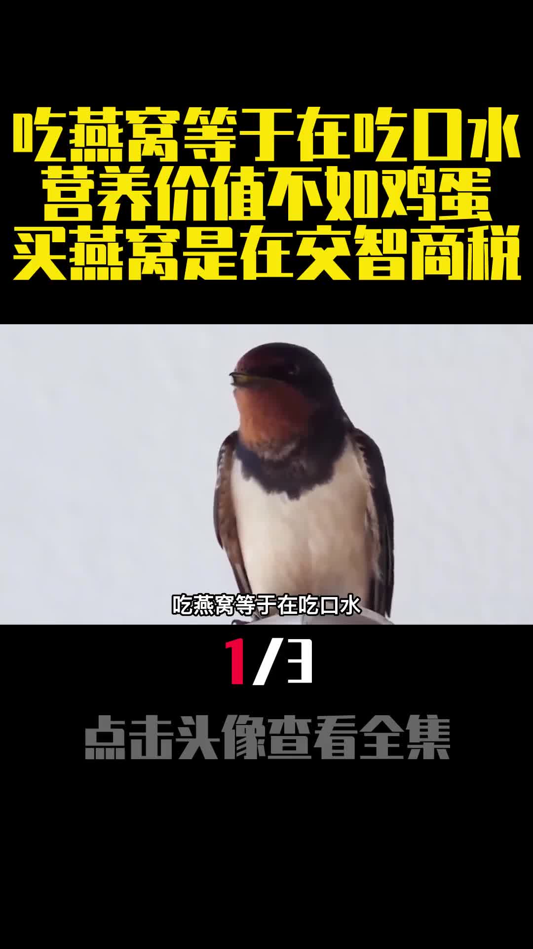 吃燕窝等于在吃口水营养价值不如鸡蛋买燕窝是在交智商税1