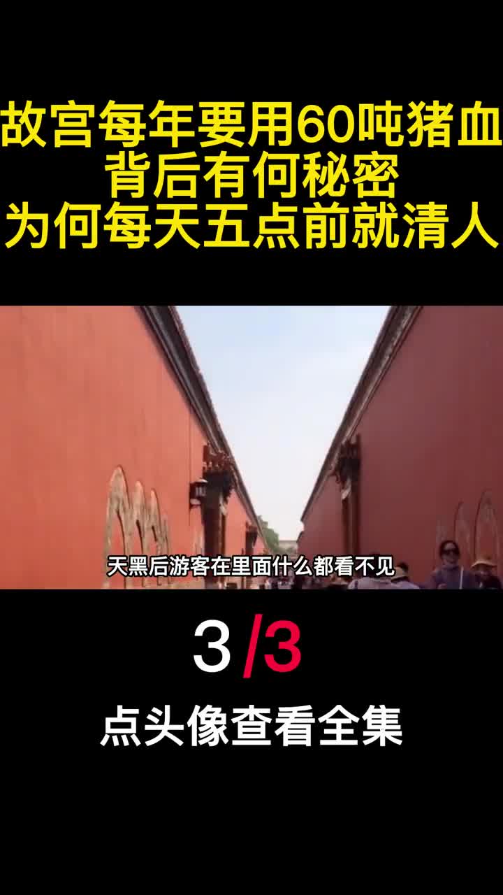 故宫每年要用60吨猪血背后有何秘密为何每天五点前就清人3