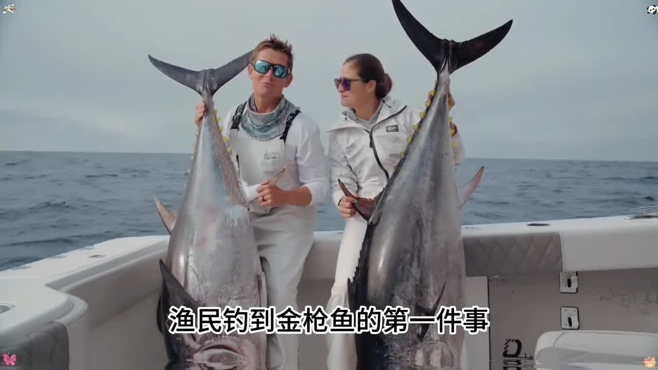 原来渔夫在捕捞到金枪鱼时竟然还有这种奇葩习惯