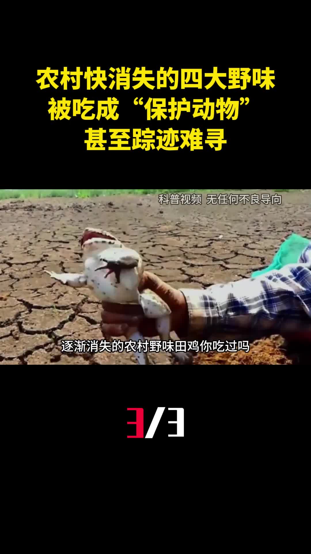 农村慢慢消失的四大野味被吃成保护动物甚至踪迹难寻3