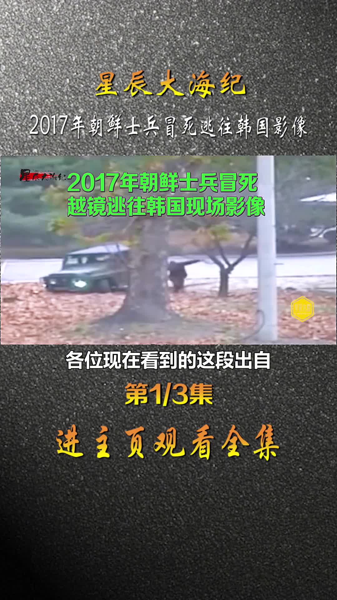 2017年脱北者冒死逃往韩国身负5枪