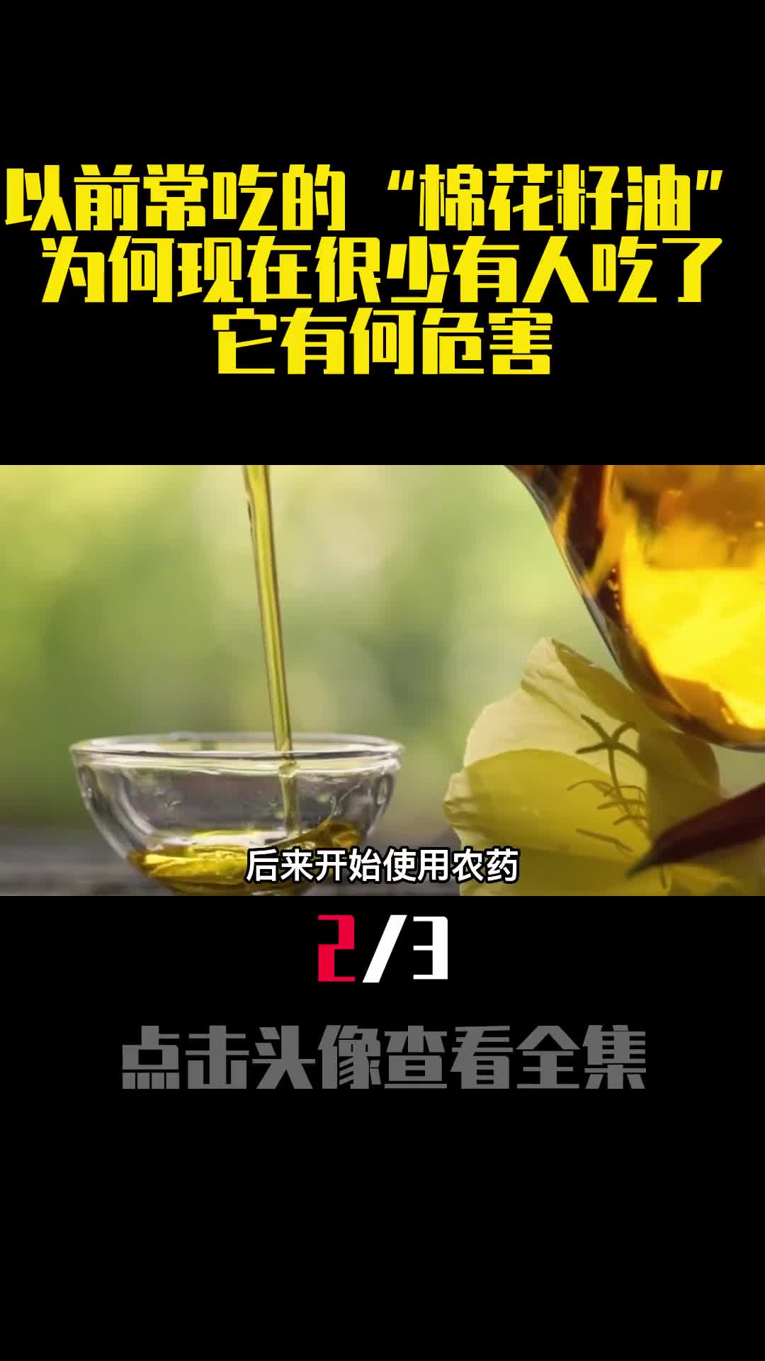 以前常吃的棉花籽油为何现在很少有人吃了它有何危害2