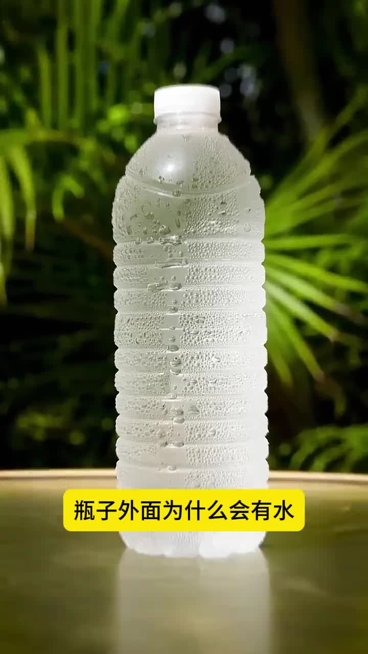 瓶子外面为什么会冒出水