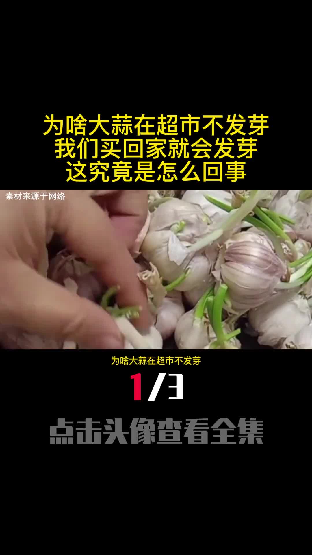 为啥大蒜在超市不发芽我们买回家就会发芽这究竟是怎么回事1