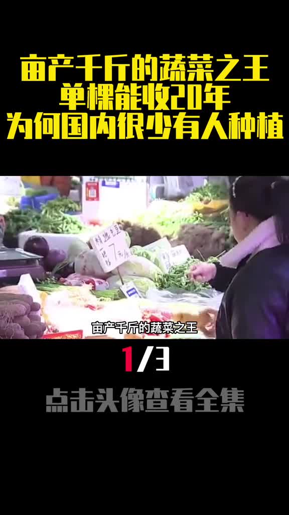 亩产千斤的蔬菜之王单棵能收20年为何国内很少有人种植1
