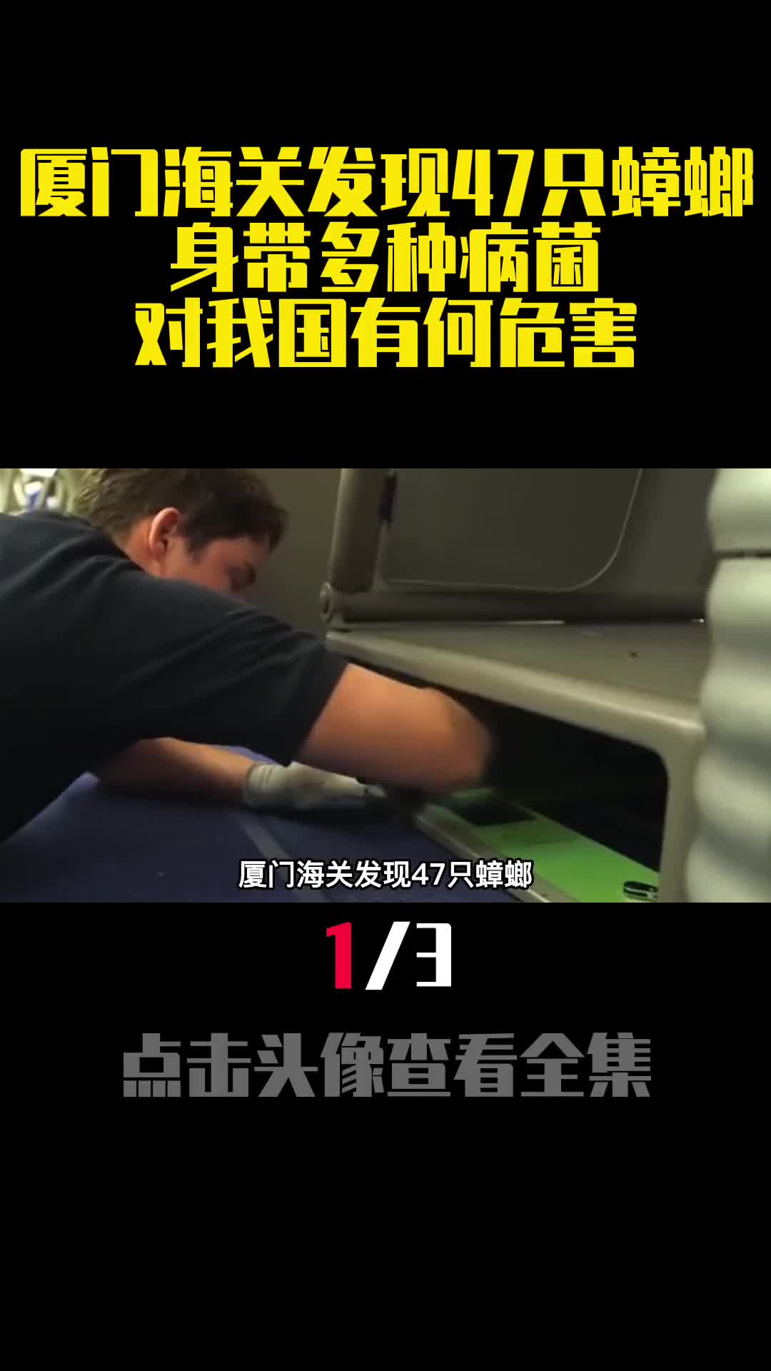 厦门海关发现47只蟑螂身带多种病菌对我国有何危害1