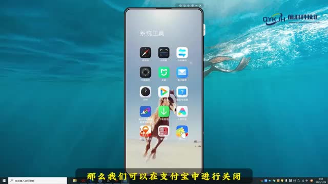 先用后付功能怎么关闭