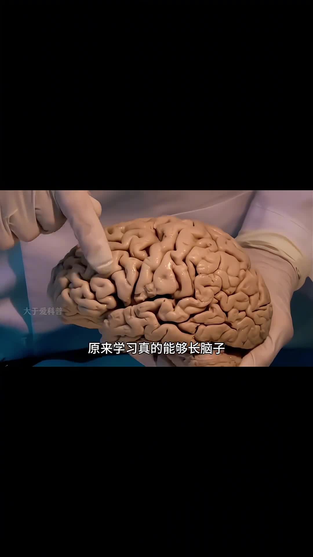 学习竟然真的可以长脑子学习竟然真的可以长脑子