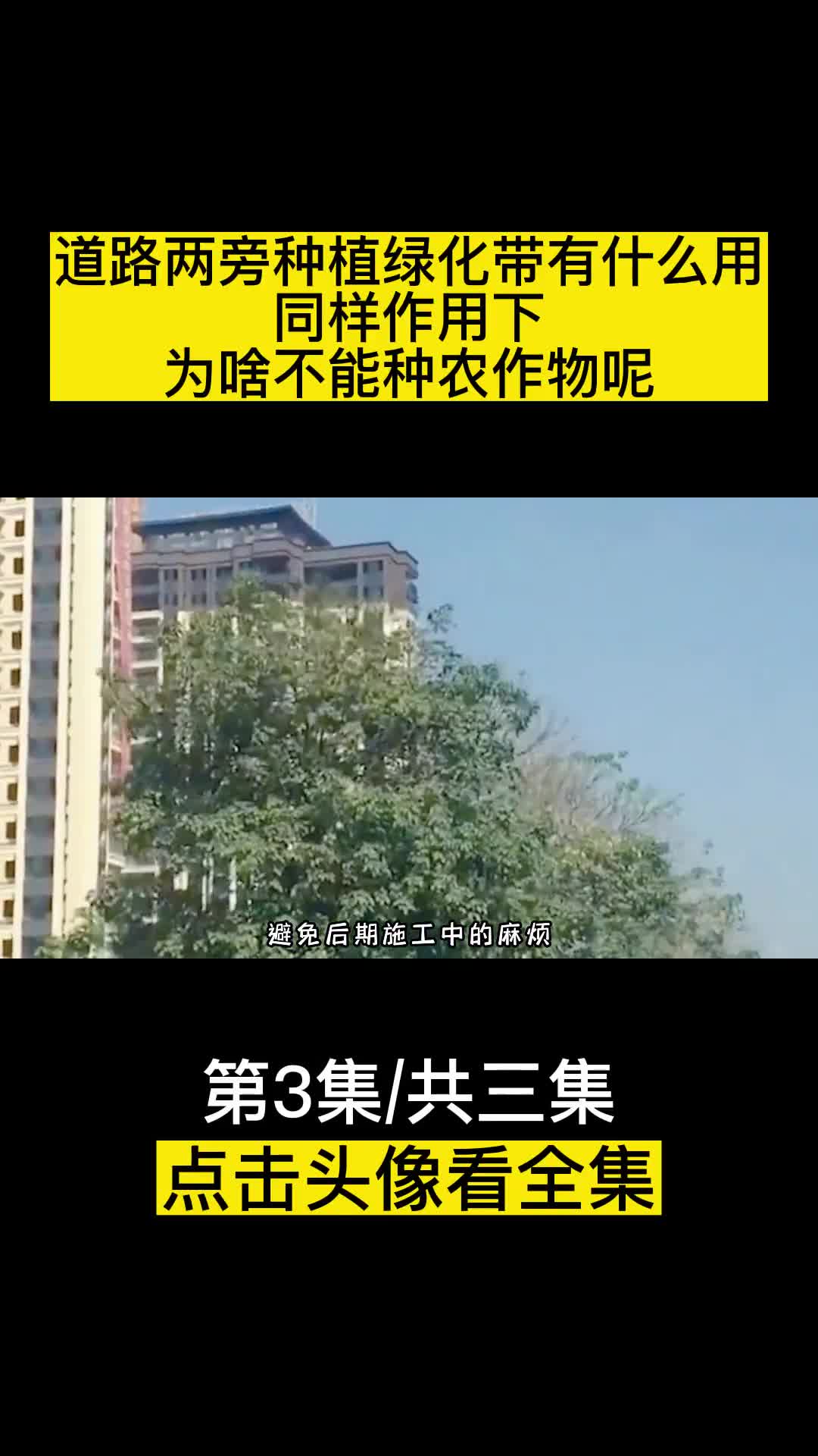 道路两旁种植绿化带有什么用同样作用下为何不能种农作物呢