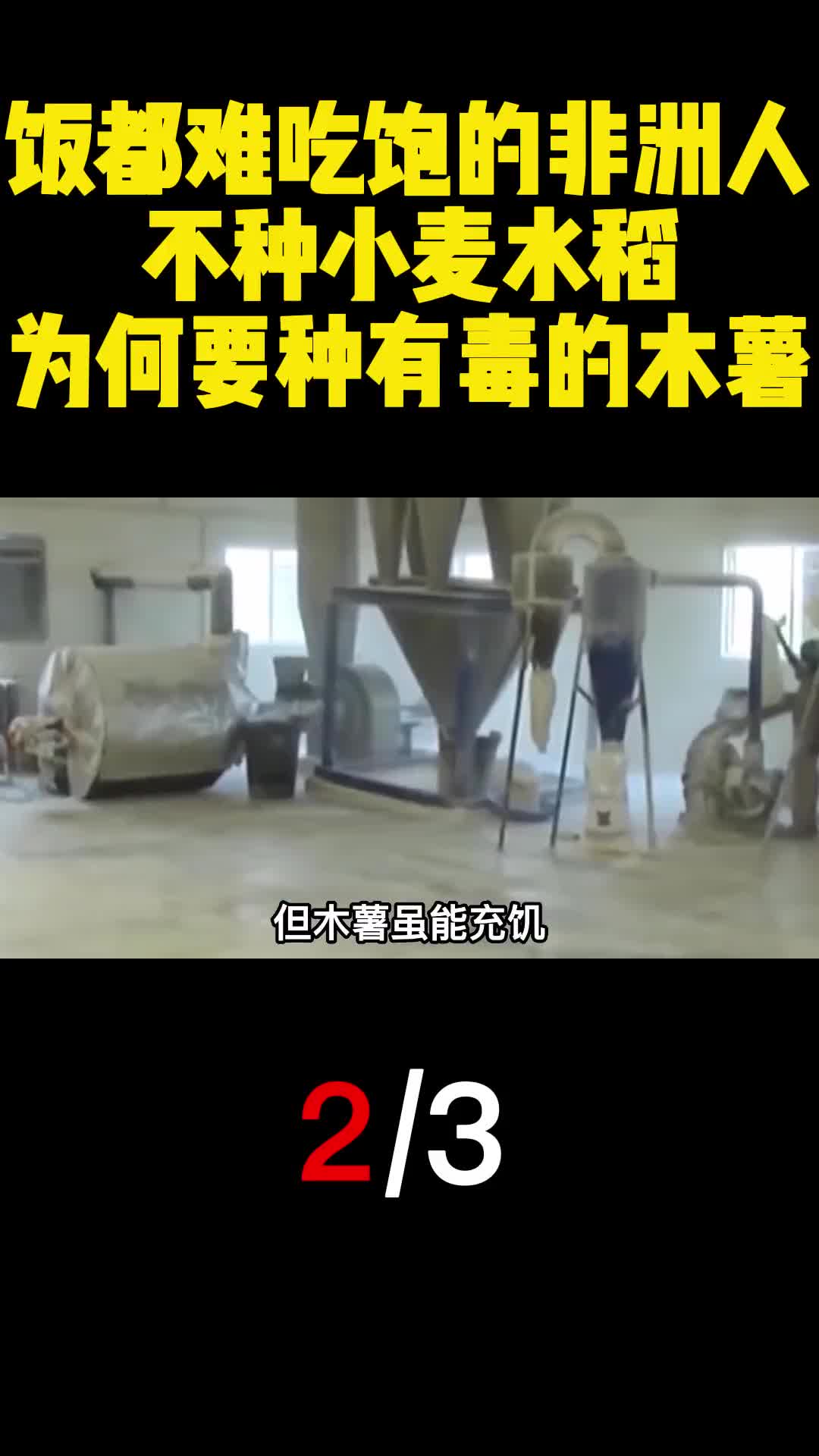 饭都难吃饱的非洲人不种小麦水稻为何要种有毒的木薯2