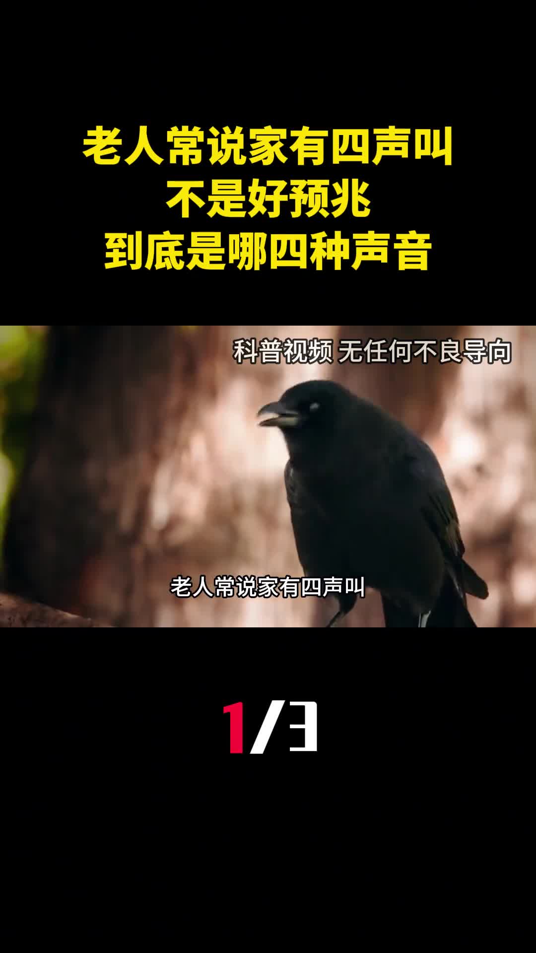 老人常说家有四声叫不是好预兆到底是哪四种声音1