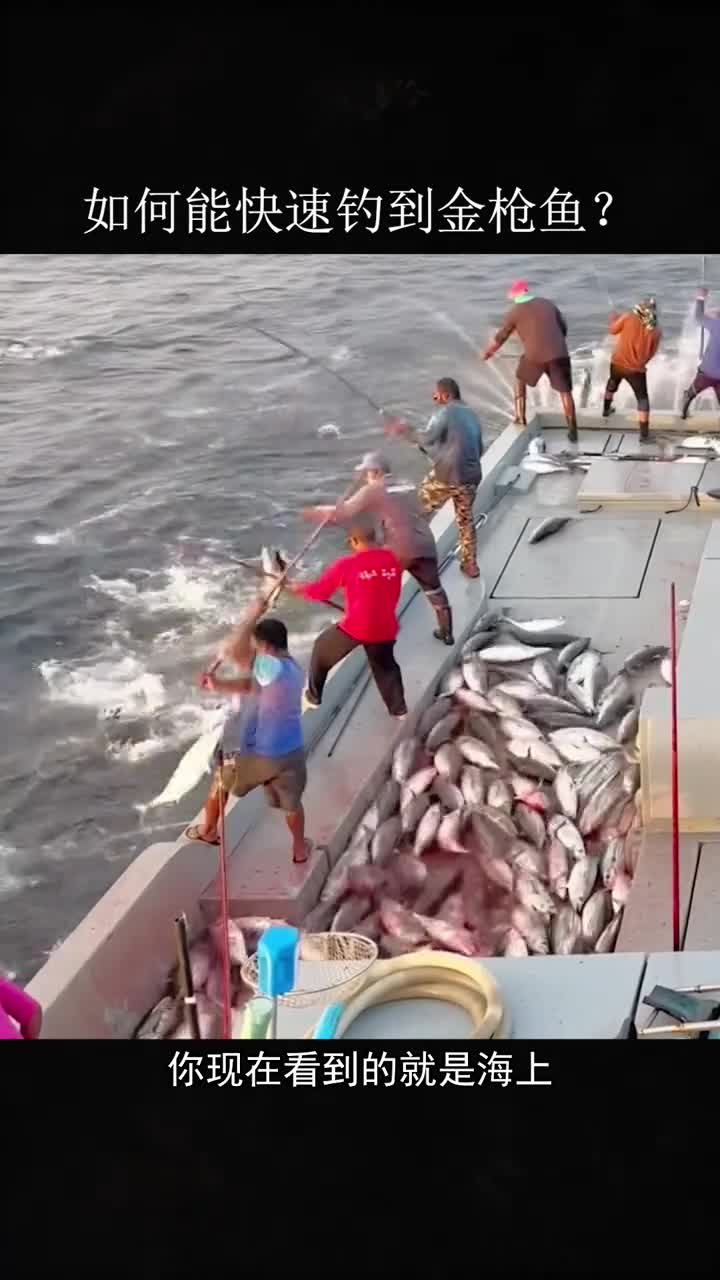 如何能快速钓到金枪鱼