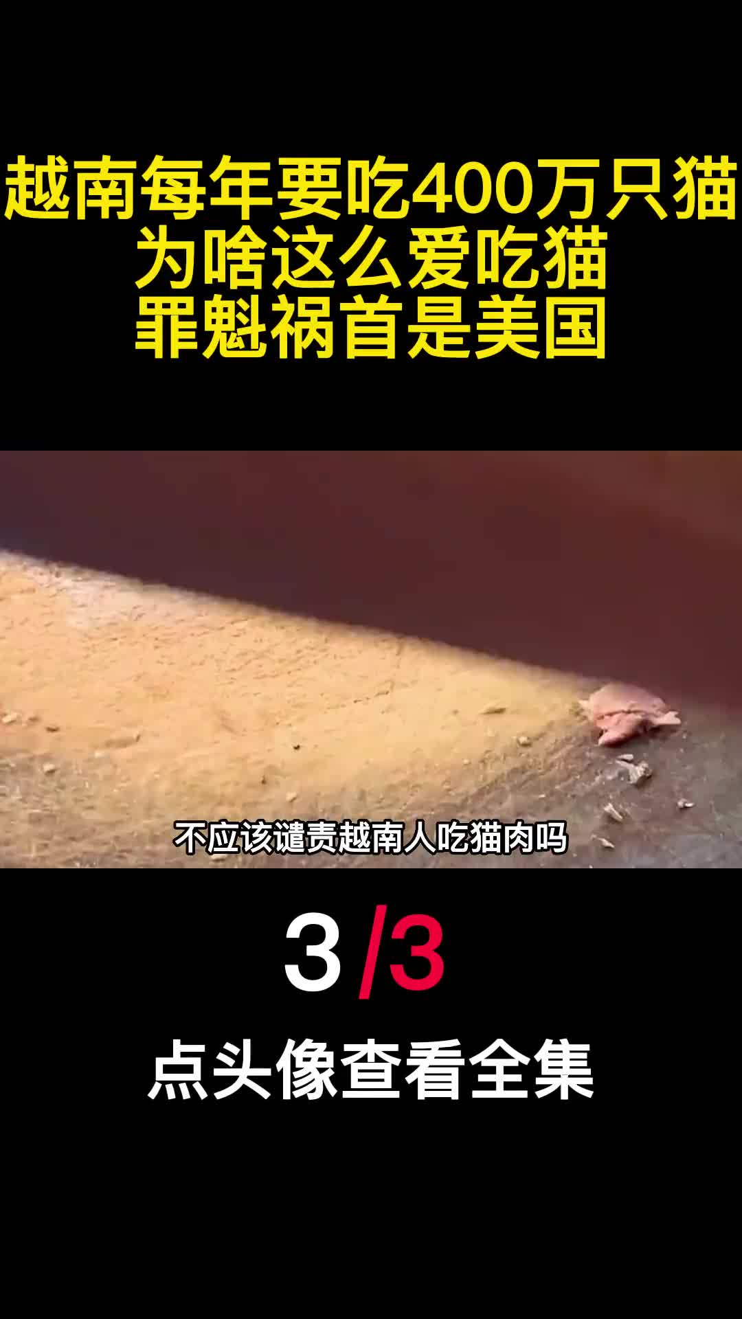 越南每年要吃400万只猫为啥这么爱吃猫罪魁祸首是美国3