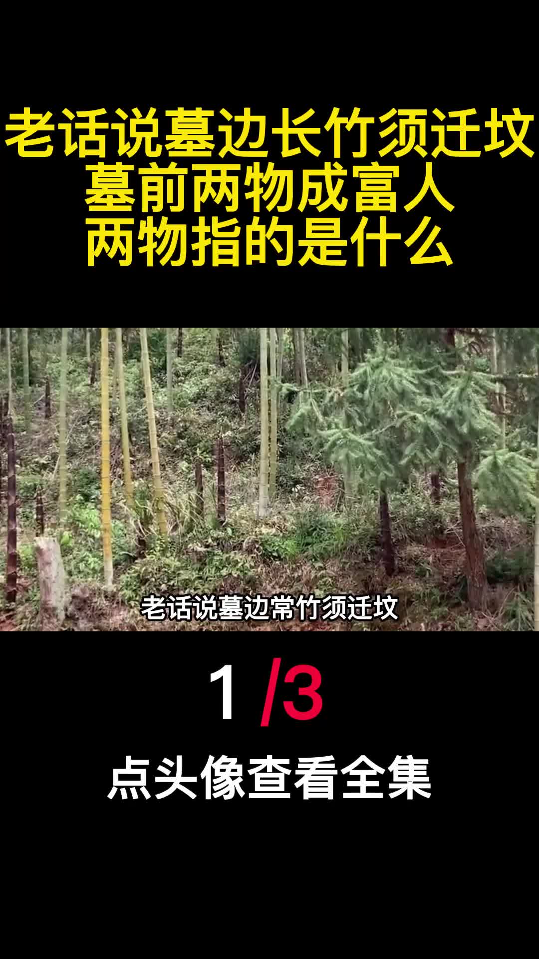老话说墓边长竹须迁坟墓前两物成富人两物指的是什么1