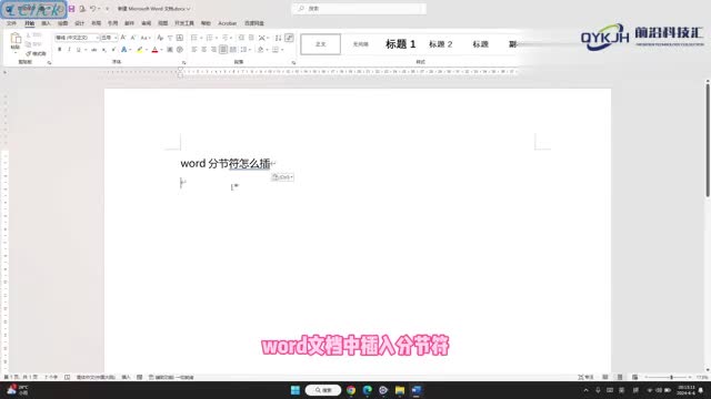 word分节符怎么插
