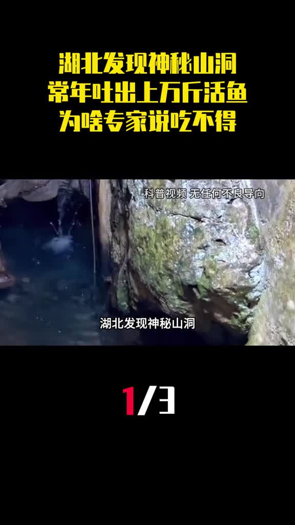 湖北发现神秘山洞常年吐出上万斤活鱼为啥专家说吃不得1