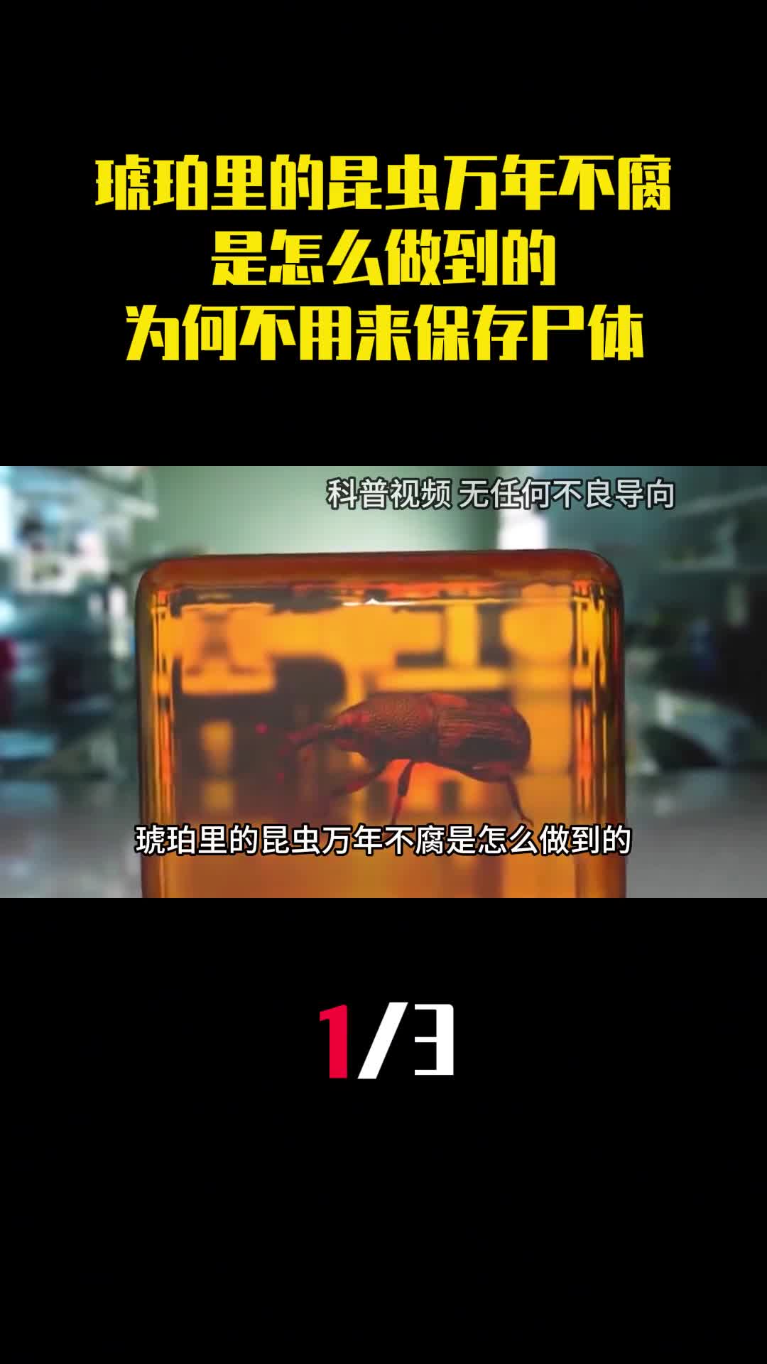 琥珀里的昆虫万年不腐是怎么做到的古人为何不用来保存尸体1